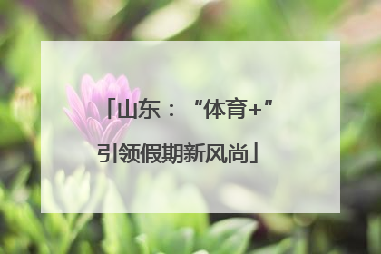 山东：“体育+”引领假期新风尚