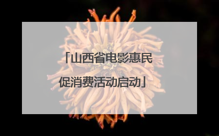 山西省电影惠民促消费活动启动