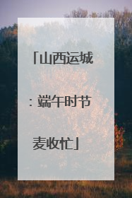 山西运城：端午时节麦收忙