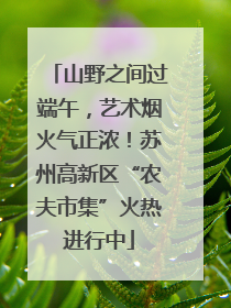 山野之间过端午，艺术烟火气正浓！苏州高新区“农夫市集”火热进行中