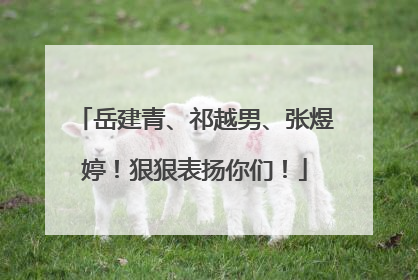 岳建青、祁越男、张煜婷！狠狠表扬你们！