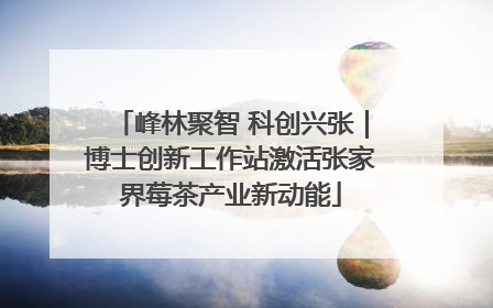 峰林聚智 科创兴张｜博士创新工作站激活张家界莓茶产业新动能