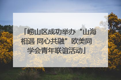 崂山区成功举办“山海相遇 同心共融”欧美同学会青年联谊活动