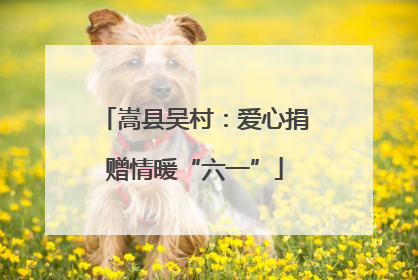 嵩县吴村：爱心捐赠情暖“六一”