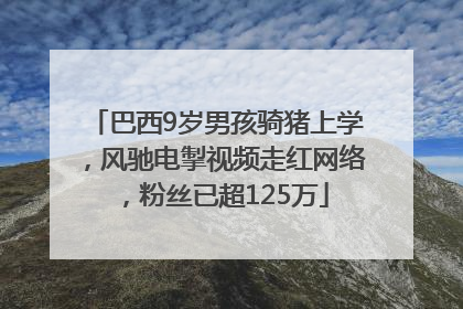 巴西9岁男孩骑猪上学，风驰电掣视频走红网络，粉丝已超125万