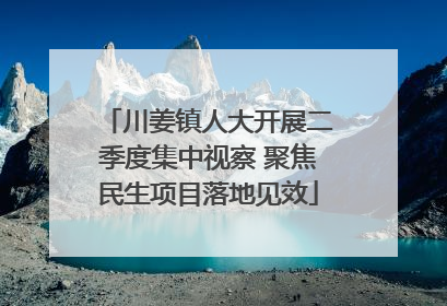 川姜镇人大开展二季度集中视察 聚焦民生项目落地见效