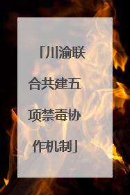 川渝联合共建五项禁毒协作机制