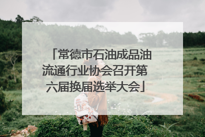 常德市石油成品油流通行业协会召开第六届换届选举大会