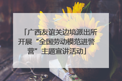 广西友谊关边境派出所开展“全国劳动模范进警营”主题宣讲活动