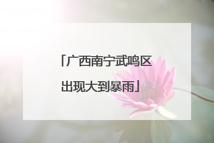 广西南宁武鸣区出现大到暴雨