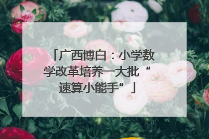广西博白：小学数学改革培养一大批“速算小能手”