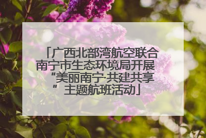 广西北部湾航空联合南宁市生态环境局开展“美丽南宁·共建共享”主题航班活动