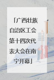广西壮族自治区工会第十四次代表大会在南宁开幕