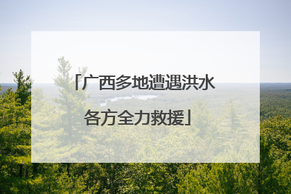 广西多地遭遇洪水 各方全力救援