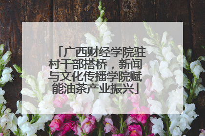 广西财经学院驻村干部搭桥，新闻与文化传播学院赋能油茶产业振兴