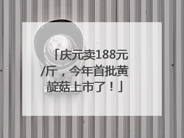 庆元卖188元/斤，今年首批黄靛菇上市了！
