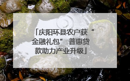 庆阳环县农户获“金融礼包” 普惠贷款助力产业升级