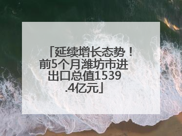 延续增长态势！前5个月潍坊市进出口总值1539.4亿元