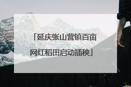 延庆张山营镇百亩网红稻田启动插秧