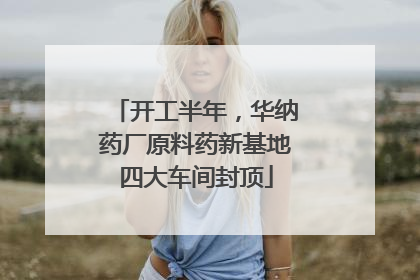 开工半年，华纳药厂原料药新基地四大车间封顶