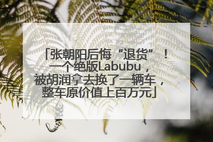 张朝阳后悔“退货”！一个绝版Labubu，被胡润拿去换了一辆车，整车原价值上百万元