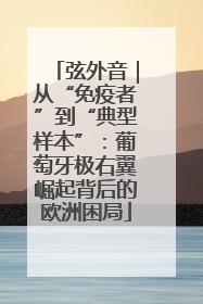弦外音｜从“免疫者”到“典型样本”：葡萄牙极右翼崛起背后的欧洲困局