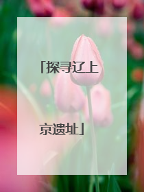 探寻辽上京遗址