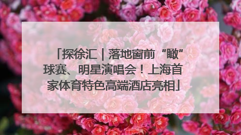 探徐汇｜落地窗前“瞰”球赛、明星演唱会！上海首家体育特色高端酒店亮相