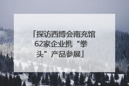 探访西博会南充馆 62家企业携“拳头”产品参展