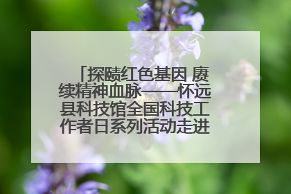 探赜红色基因 赓续精神血脉——怀远县科技馆全国科技工作者日系列活动走进怀远县实验中学
