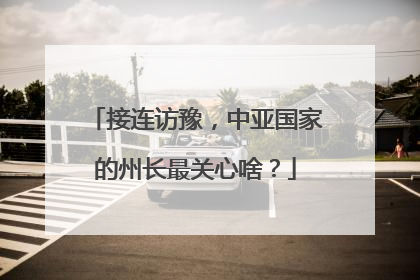 接连访豫，中亚国家的州长最关心啥？