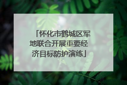 怀化市鹤城区军地联合开展重要经济目标防护演练