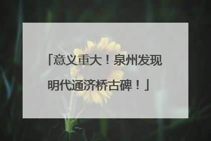 意义重大！泉州发现明代通济桥古碑！
