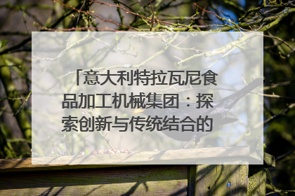 意大利特拉瓦尼食品加工机械集团：探索创新与传统结合的可能性｜西望四川