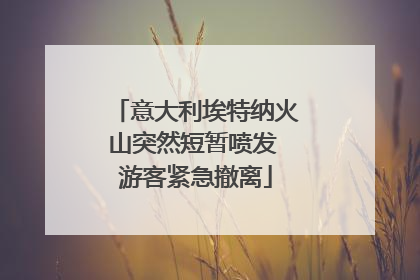 意大利埃特纳火山突然短暂喷发 游客紧急撤离