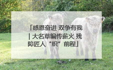 感恩奋进 双争有我｜大名草编传薪火 残障匠人“织”前程