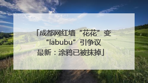 成都网红墙“花花”变“labubu”引争议 最新：涂鸦已被抹掉