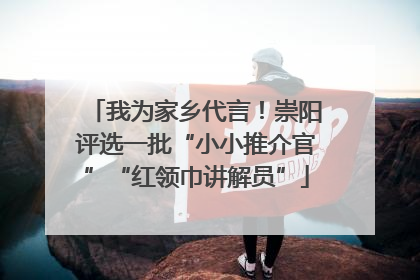 我为家乡代言！崇阳评选一批“小小推介官”“红领巾讲解员”