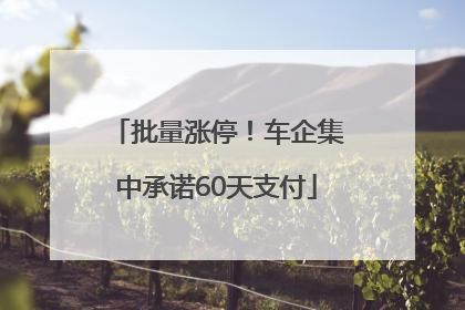批量涨停！车企集中承诺60天支付