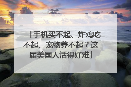 手机买不起、炸鸡吃不起、宠物养不起？这届美国人活得好难