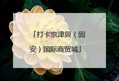 打卡京津冀（固安）国际商贸城