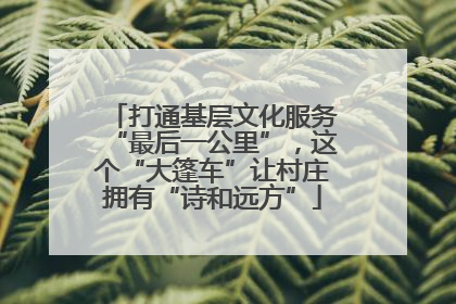 打通基层文化服务“最后一公里”，这个“大篷车”让村庄拥有“诗和远方”