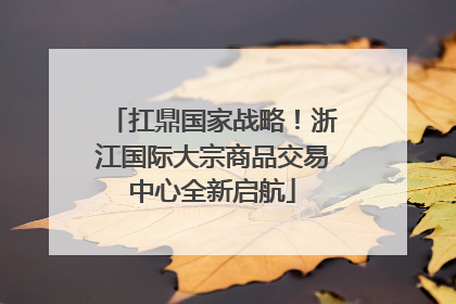 扛鼎国家战略！浙江国际大宗商品交易中心全新启航