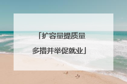 扩容量提质量 多措并举促就业