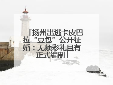 扬州出逃卡皮巴拉“豆包”公开征婚：无须彩礼且有正式编制