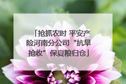抢抓农时 平安产险河南分公司“抗旱抢收”保夏粮归仓