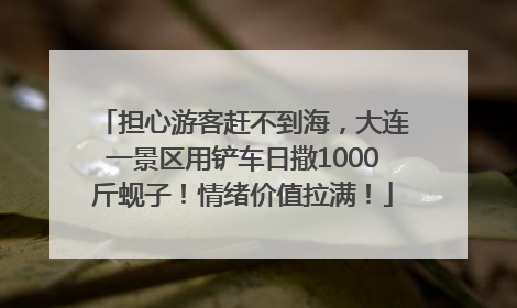 担心游客赶不到海，大连一景区用铲车日撒1000斤蚬子！情绪价值拉满！