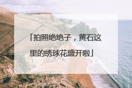 拍照绝绝子，黄石这里的绣球花盛开啦