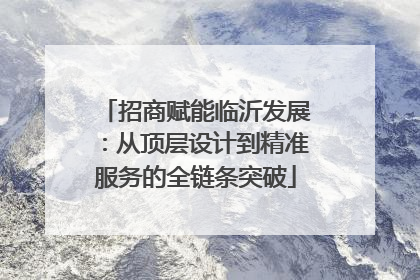 招商赋能临沂发展：从顶层设计到精准服务的全链条突破