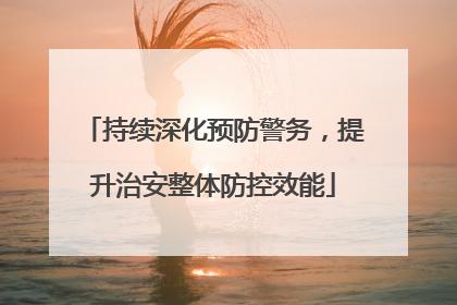 持续深化预防警务，提升治安整体防控效能